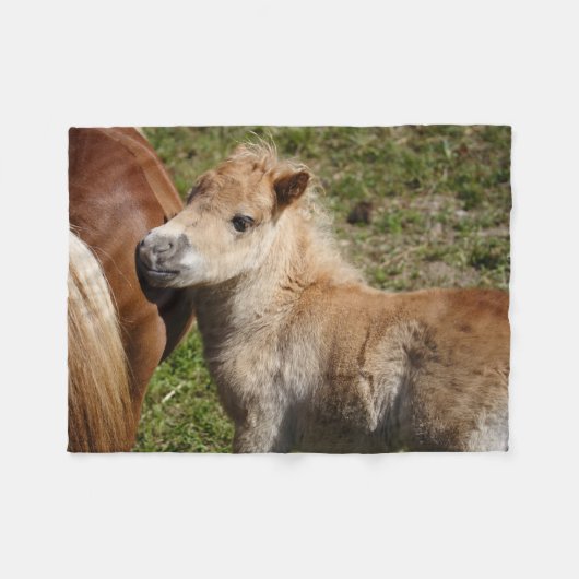 Sweet Haflinger Foal Fleece Deken (Voorkant (Horizontaal))