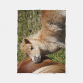 Sweet Haflinger Foal Fleece Deken (Voorkant)