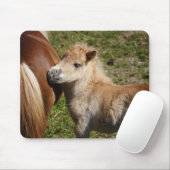 Sweet Haflinger Foal Muismat (Met muis)