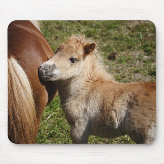 Sweet Haflinger Foal Muismat (Voorkant)