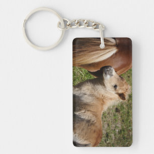Sweet Haflinger Foal Sleutelhanger