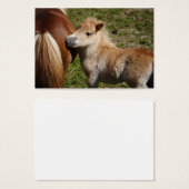 Sweet Haflinger Foal Visitekaartjes (Voorkant /achterkant)