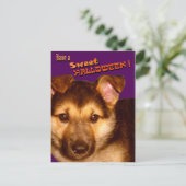 Sweet Halloween Briefkaart (Staand voorkant)