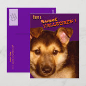 Sweet Halloween Briefkaart (Voorkant / Achterkant)
