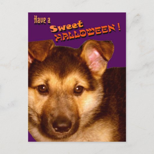 Sweet Halloween Briefkaart (Voorkant)