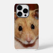 Sweet Hamster iPhone / iPad Case (Achterkant)