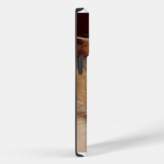 Sweet Hamster iPhone / iPad Case (Achterkant / Rechts)