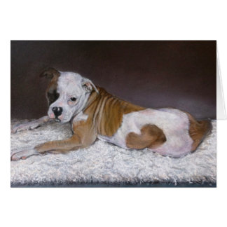 Sweet Heart, Amerikaanse Bulldog