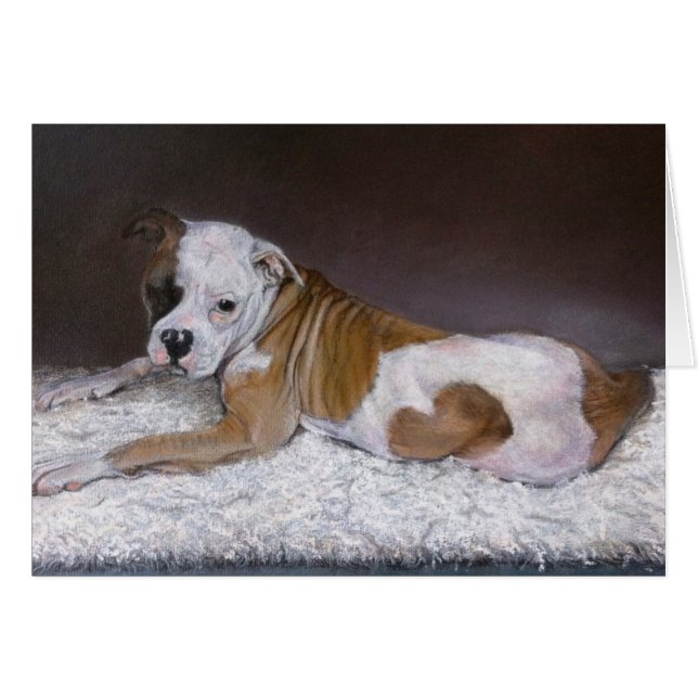 Sweet Heart, Amerikaanse Bulldog (Voorkant Horizontaal)