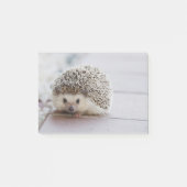 Sweet Hedgel Post-it® Notes (Voorkant)
