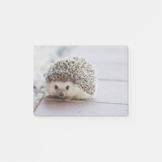 Sweet Hedgel Post-it® Notes (Voorkant)