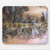 Sweet Honey Bee Mousepad Muismat (Voorkant)