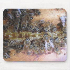 Sweet Honey Bee Mousepad Muismat