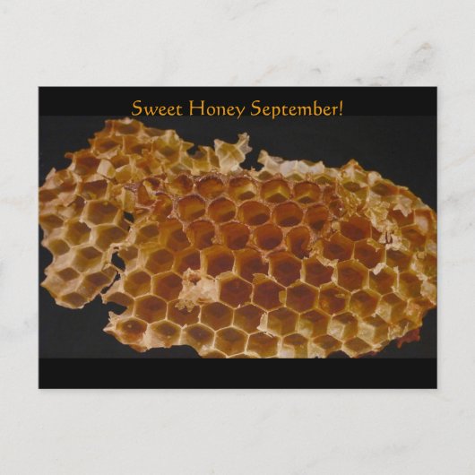Sweet Honey September! Briefkaart (Voorkant)