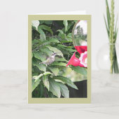 Sweet Humming Bird Verjaardagswens Kaart (Voorkant)