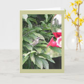 Sweet Humming Bird Verjaardagswens Kaart (Gele Bloem)