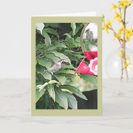 Sweet Humming Bird Verjaardagswens Kaart (Gele Bloem)