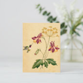 Sweet Hummingbird  Botanische Tuin Briefkaart (Staand voorkant)