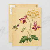 Sweet Hummingbird  Botanische Tuin Briefkaart (Voorkant / Achterkant)