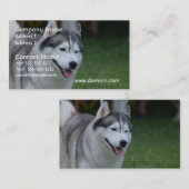 Sweet Husky Visitekaartje (Voorkant / Achterkant)