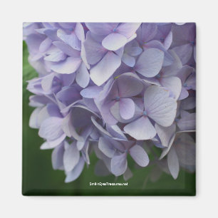 Sweet Hydrangea Flower fotomagneet - Gepersonalise Magneet