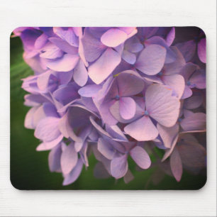 Sweet Hydrangea Flower Petals Muismat