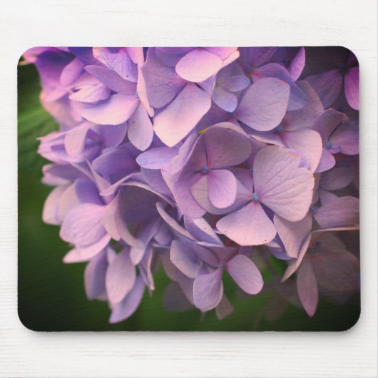 Sweet Hydrangea Flower Petals Muismat (Voorkant)