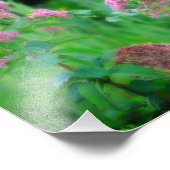 Sweet Joe Pye Weed Wildflower 8x8 Foto Afdruk (Hoek)