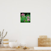 Sweet Joe Pye Weed Wildflower Poster (Keuken)