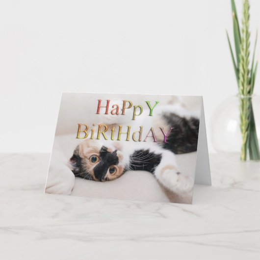 Sweet kat Happy Birthday Kaart (Voorkant)