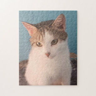 Sweet Kat Jigzaag Puzzle Legpuzzel