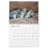 Sweet Katten Photo Wall Agenda Kalender (Feb 2026)
