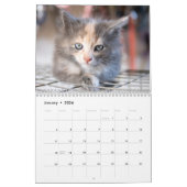 Sweet Katten Photo Wall Agenda Kalender (Jan 2026)