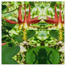 Sweet-kerststollingsstof