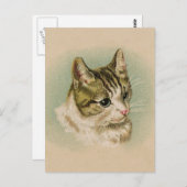 Sweet Kitten Briefkaart (Voorkant / Achterkant)