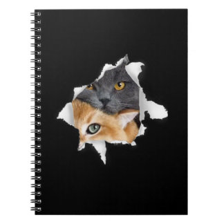 Sweet Kitten Couple | Funny Cat Lover Gift Notitieboek