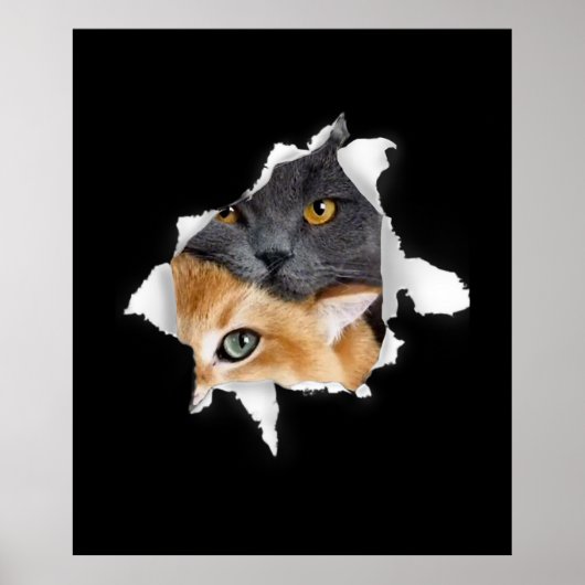 Sweet Kitten Couple | Funny Cat Lover Gift Poster (Voorkant)