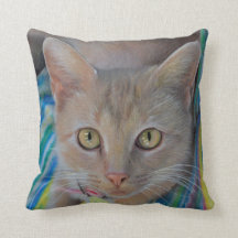 Sweet Kitten Drawing Pillow