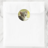 Sweet Kitten Face Round Sticker (Tas)