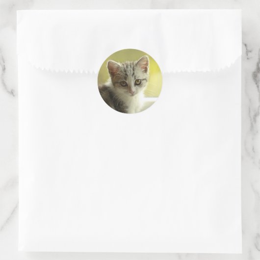 Sweet Kitten Face Round Sticker (Tas)