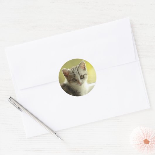 Sweet Kitten Face Round Sticker (Envelop)