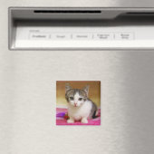Sweet Kitten Magnet (Insitu (Vaatwasser))