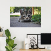 Sweet Kitten Print (Thuiskantoor)