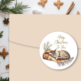 Sweet Kitten Slapen op een warme deken Kerstmis Ronde Sticker