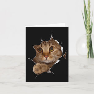 Sweet Kitten Torn Cloth - Funny Cat Lover Cat Owne Kaart