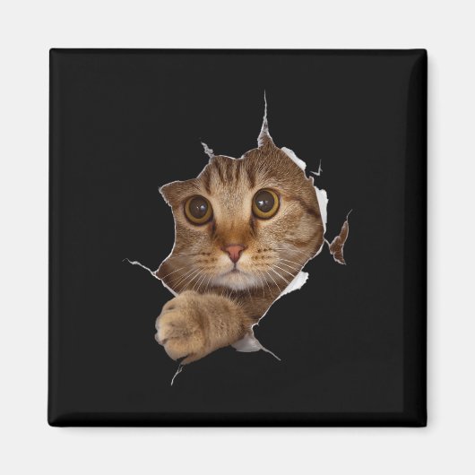 Sweet Kitten Torn Cloth - Funny Cat Lover Cat Owne Magneet (Voorkant)