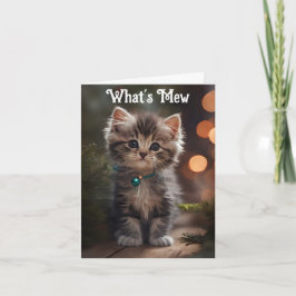 Sweet Kitten Wenskaart Kaart