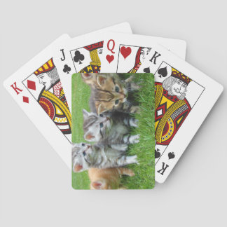 Sweet Kittens Bunch Pokerkaarten