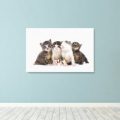 Sweet Kittens Canvas Afdruk (Insitu (Houten vloer))