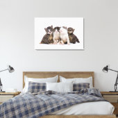 Sweet Kittens Canvas Afdruk (Insitu (Slaapkamer))